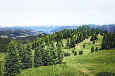 Rejoignez le mouvement vers un avenir durable dans un monde net-zéro