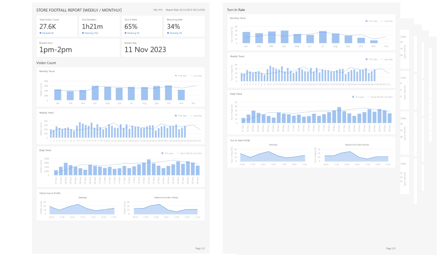 Store Summary Report