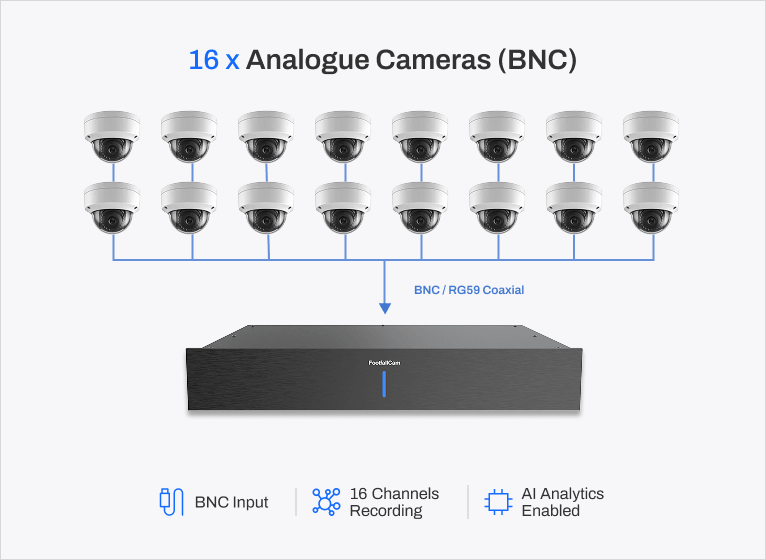 FootfallCam Image