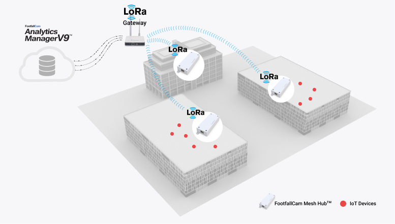 FootfallCam People Counting System - Mesh Hub in University
