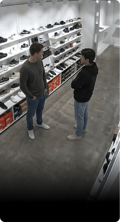 FootfallCam Talking to Friend