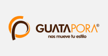 GrupoSensormatic (Custode) - Guatapora SA