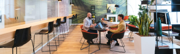 Footfallcam - On-Site Consultancy Services