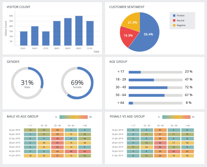 FootfallCam - Demographic Analysis